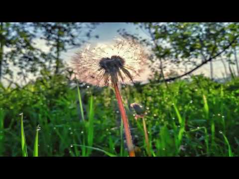 Видео: В часи тривог, зневіри і сумніву / Щасливий я - Жорж Давидюк (Ukrainian song)