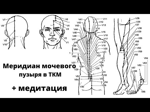 Видео: ТКМ - Меридиан мочевого пузыря
