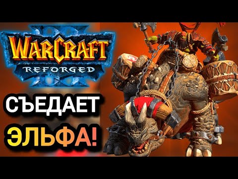 Видео: СЪЕДАЕТ ЭЛЬФА! Warcraft 3 Reforged