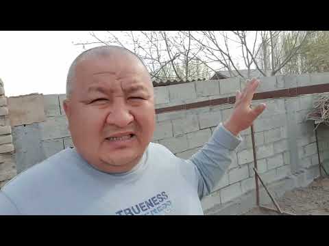 Видео: ПАРВОЗЛАР УЧУН  ЯНГИЛИК/ ХУРОЗ ИШКИБОЗЛАРИ  КУРСИН
