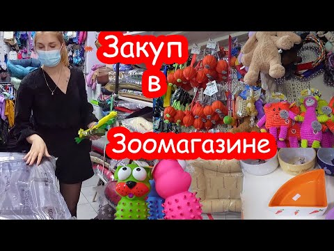 Видео: Большой закуп в зоомагазине