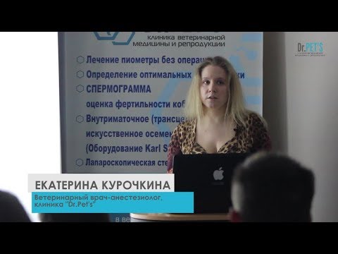 Видео: Эндоскопия во сне