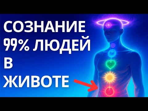 Видео: Карта сознания: шесть уровней, которые скрывает твой разум
