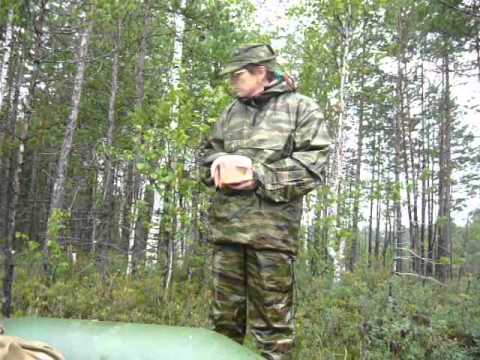 Видео: Ягода морошка в Свердловской области