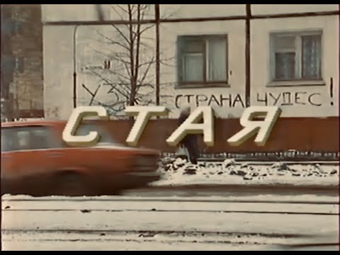 Видео: СТАЯ | Телеочерк о подростковых группировках Ульяновска. 1991