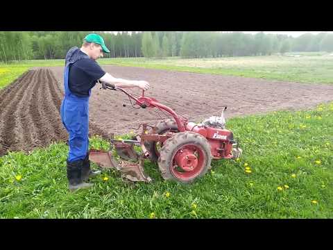 Видео: Посадка картошки под окучник, нарезка и закрытие борозд