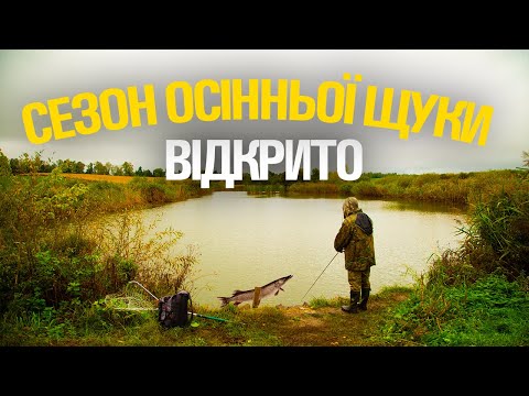 Видео: Сезон щуки 2024 відкрито. Перша осіння щука, Ловля щуки з берега! #рибалка #щука