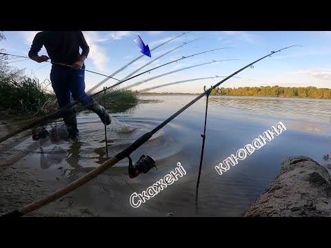 Видео: Лящів паркуєм - і в садки пакуєм