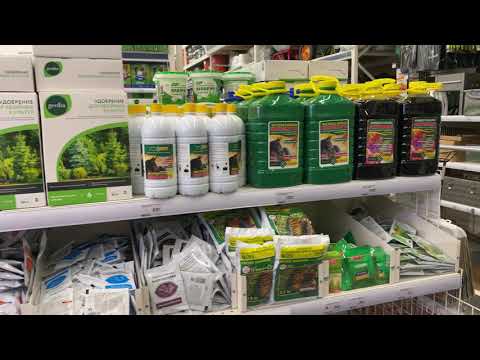 Видео: Удобрения для клубники, чем подкармливать клубнику?