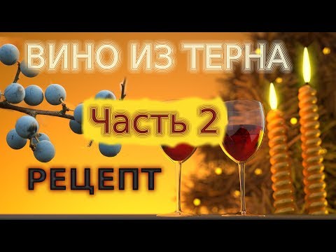 Видео: ВИНО ИЗ ТЕРНА РЕЦЕПТ ЧАСТЬ №2 БЕЗ ДРОЖЖЕЙ В ДОМАШНИХ УСЛОВИЯХ