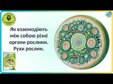 Видео: Як взаємодіють між собою різні органи рослини?  Рухи рослин.