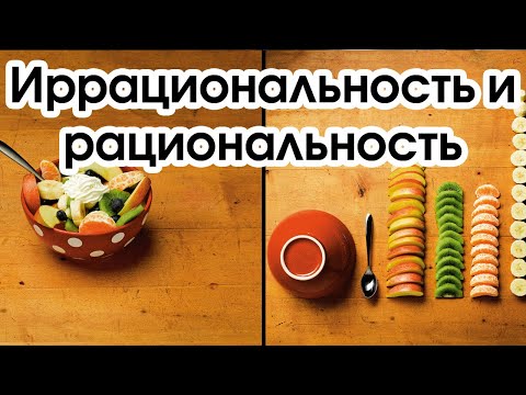 Видео: Соционика: иррациональность и рациональность
