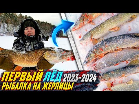 Видео: ПЕРВЫЙ ЛЕД 2023-2024г-Второй день! Рыбалка на Жерлицы с Друзьями! Открытие Зимнего сезона!