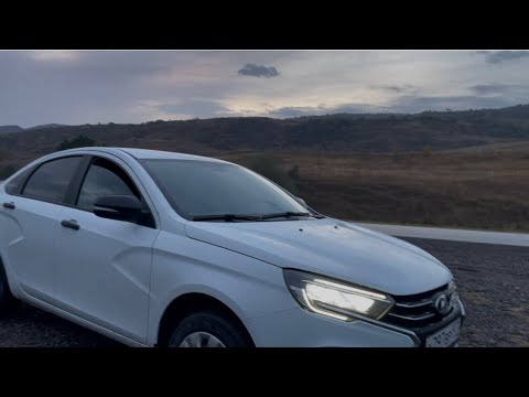 Видео: Куда послать Весту ,когда она терпит нервы?
