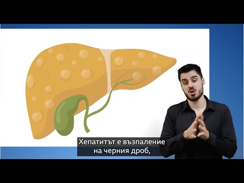 Видео: Вирусни хепатити А, В, С - инфектиране, лечение
