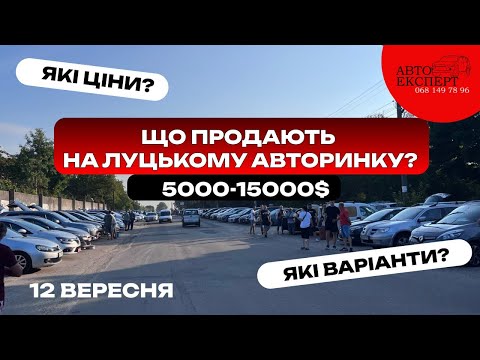 Видео: ✅ЛУЦЬК АВТОРИНОК❗️ЩО ПРОДАЮТЬ⁉️ЯКІ ЦІНИ⁉️ЗНІМАЮ ВСЕ ПІДРЯД 💵5000-15000$$$ АВТОПІДБІР ☎️068-149-78-96