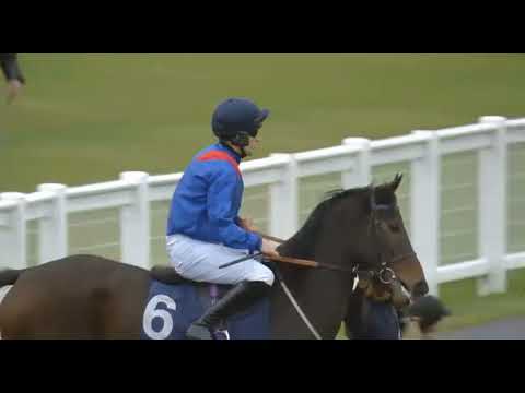 Видео: 1608 НЬЮКАСЛ-ВЕЛИКОБРИТАНИЯ