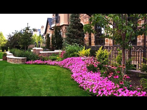 Видео: Ландшафтный дизайн Идеи для вашего сада / Landscaping Ideas for your garden