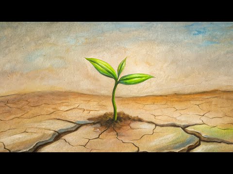 Видео: Как наконец-то победить прокрастинацию? (Секрет в том, чтобы... ничего не делать)