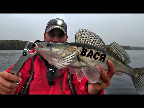 Видео: Судак на спиннинг в октябре. Клёв был вчера или завтра)))