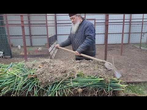 Видео: Закрываем огород.