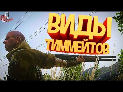 Видео: Виды тиммейтов ( Escape from tarkov / CoD MW )