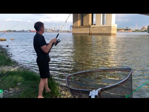 Видео: РЫБАЛКА В РОСТОВЕ ПОД ЗАПАДНЫМ МОСТОМ. #рыбалка #рыбалканадону #рыбалканалеща