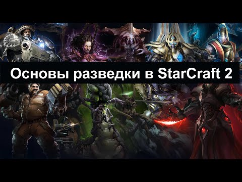 Видео: Основные правила разведки в StarCraft 2