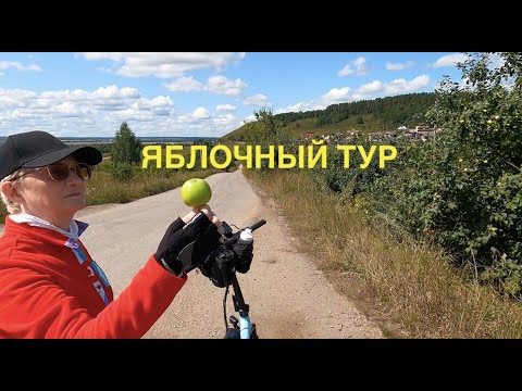 Видео: ЯБЛОЧНЫЙ ТУР