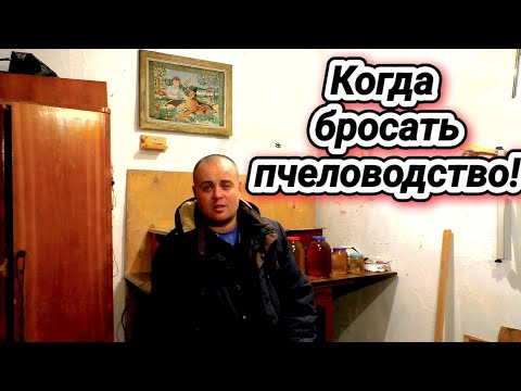 Видео: Пасека никому уже не нужна!