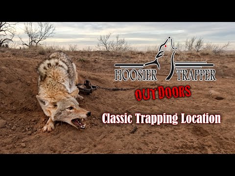 Видео: Hoosier Trapper Outdoors - S.14 Ep.7 - Классические места для ловли