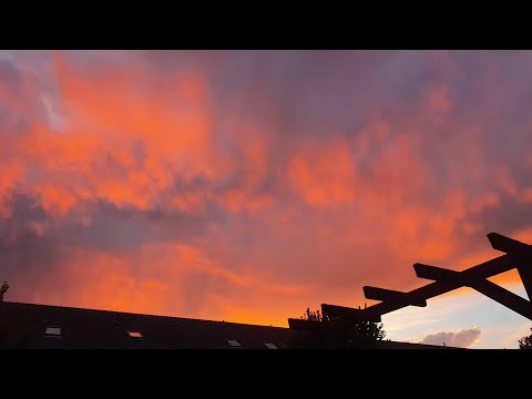 Видео: Дафния как  поменять воду