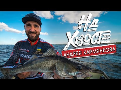 Видео: НА ХВОСТЕ Андрея Кармянкова. Раздача судака на Днепродзержинском водохранилище летом.