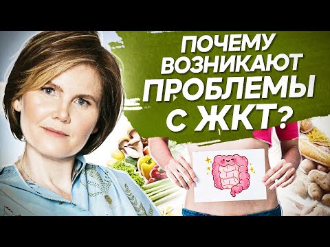 Видео: Почему возникают проблемы с ЖКТ? Психологические причины, возникновения проблем с ЖКТ.