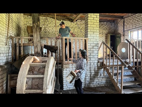 Видео: Екскурсія! Млин! Голштини на відгодівлі! Встановлення вікон у хлів!