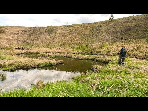 Видео: РУЧЕЙ ПЕРЕПРЫГНУТЬ МОЖНО а щука КЛЮЁТ! Рыбалка на спиннинг в мае 2025
