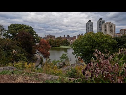Видео: Осень в Нью-Йорке/ Дикие тропинки Центрального парка / Новый каток