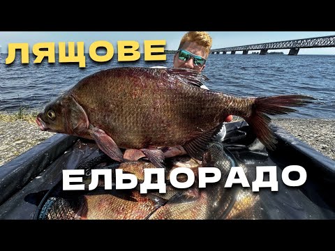 Видео: РІЧНІ МОНСТРИ НА ДНІПРІ‼️ ТОПОВА РИБАЛКА НА ЛЯЩА‼️