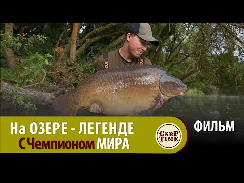 Видео: 💥 Карпфишинг на СТАРОМ ОЗЕРЕ с Чемпионом МИРА! / Сложная ловля КАРПА в ТРАВЕ и с ПОВЕРХНОСТИ! ФИЛЬМ