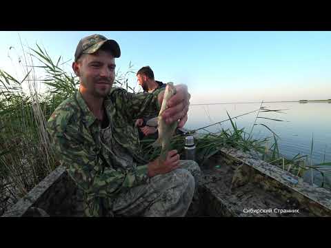 Видео: Поехали за окунем, а наловили золотого  карася.