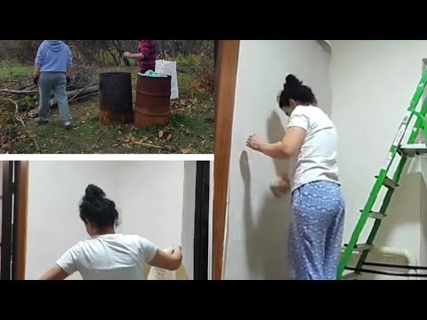 Видео: От поваленных деревьев до новых обоев: преображение за день! 😱