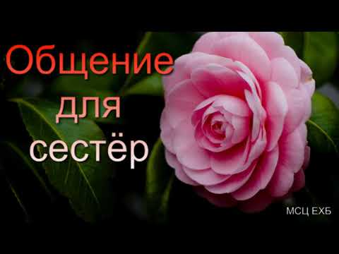 Видео: Общение для сестёр. С. Боринский. МСЦ ЕХБ.