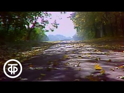 Видео: Ясная Поляна (1980)