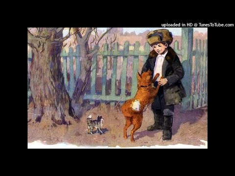 Видео: "Загадка" - рассказ Г. А. Скребицкого.