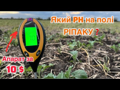 Видео: ⁉️Який PH на полі ріпаку? Стан на 3.10.25