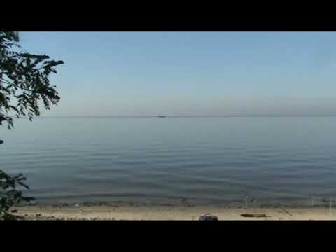 Видео: Осеняя рыбалака на дикого сазана 2024