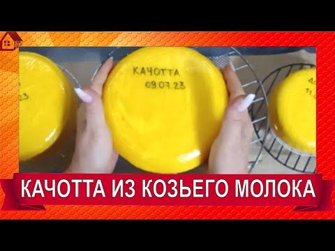 Видео: СЫР КАЧОТТА * из козьего молока и рикотта из сыворотки. Мои неудачи и приобретения