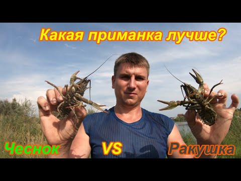 Видео: НА ЧТО ЛОВИТЬ РАКА? Ловля раков.Чеснок или Ракушка? Что лучше?