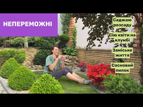 Видео: Квіти та город саджаємо! Пилок з сосни збираємо Заміське життя