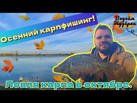 Видео: Осенний карпфишинг. Ловля карпа в октябре. Водоём Кудёрка.